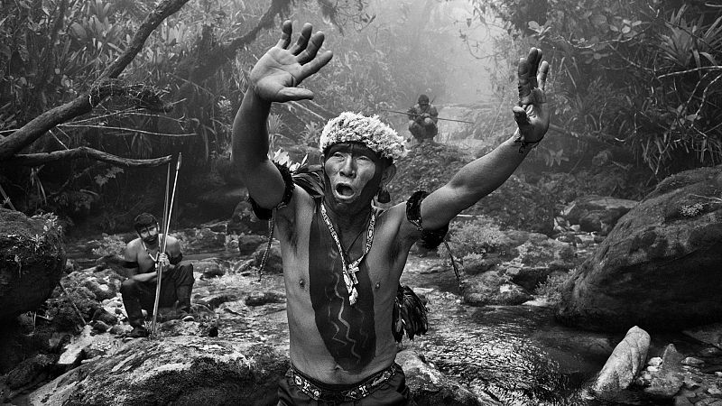 El gallo que no cesa - Vida y destrucción de la Amazonia con Sebastião Salgado