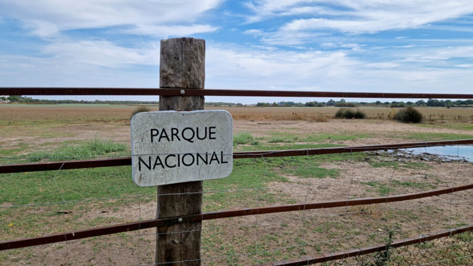 Por tres razones - Doñana: hablamos con los dueños de pozos ilegales - Escuchar ahora