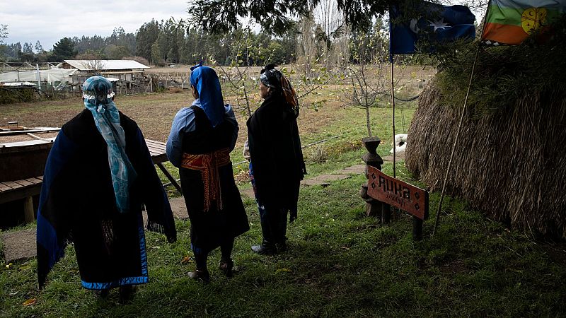 Cinco continentes - El intento por recuperar las tierras de los mapuches - Escuchar ahora
