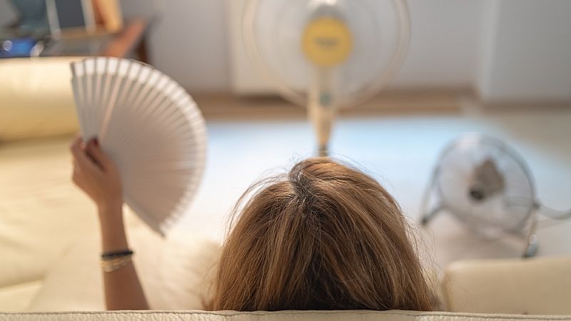 El gallo que no cesa - Un libro para desmontar mitos acerca de la menopausia