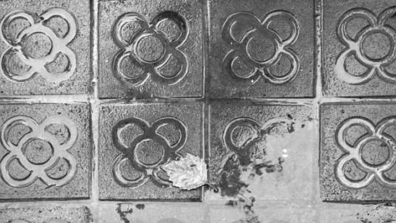 Sota Sospita - Poblenou: entre els millors barris del món