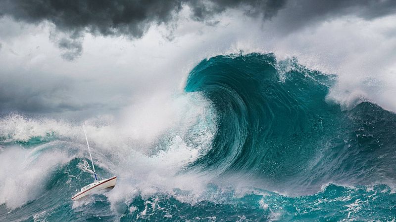 Verdaderamente falso - Un tsunami y un escarabajo - 02/11/23