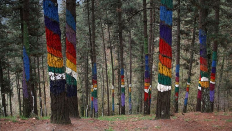 Hoy Empieza Todo 2 - Agustín Ibarrola, rumba catalana, Grammy Latinos y sexo - 17/11/23 - escuchar ahora