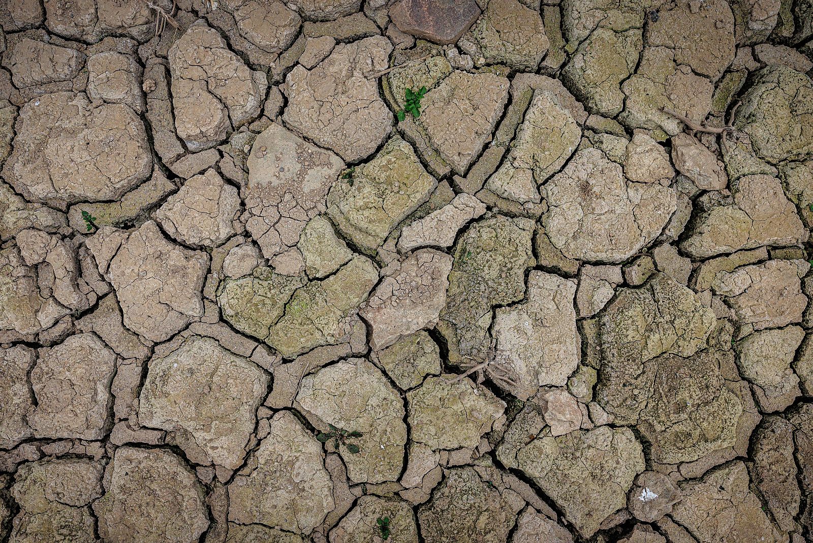 El Govern preveu entrar en emergència per sequera el proper mes de gener