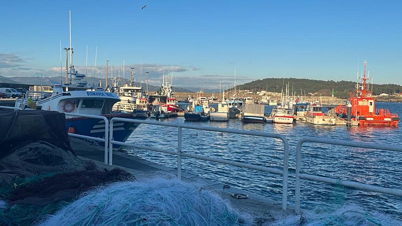 Por tres razones - Pescadores y vecinos, los primeros en avistar los pélets - Escuchar ahora