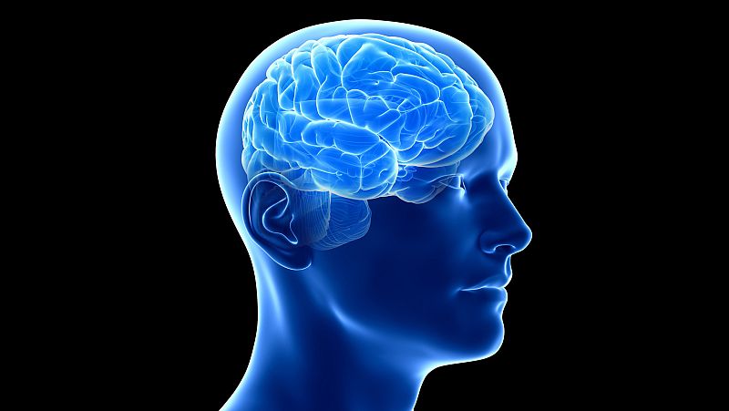 Marca España - España en la neurociencia mundial - 21/12/23 - Escuchar ahora