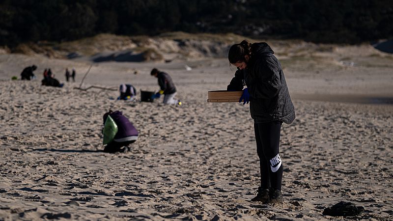 Las mañanas de RNE con Íñigo Alfonso - Cristian López (Ecologistas en Acción): "Se debería regular más el transporte de 'pellets'"