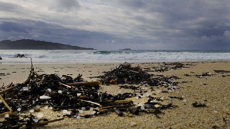 Españoles en la mar - Analizamos las consecuencias científicas y ecológicas del vertido de pellets - 10/01/24