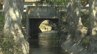 Arrenca la campanya de reg del Canal d'Urgell | Joana Sendra