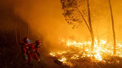 ¿Cómo investiga el SEPRONA el inicio de un incendio forestal? - RNE Audio - 24 horas | Escuchar