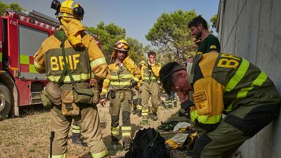 Las condiciones de bomberos forestales y brigadistas: muchas horas y medios insuficientes - 24 horas fin de semana | Escuchar
