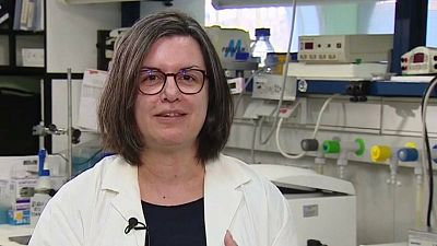 Las mañanas de RNE con Íñigo Alfonso - Sonia Zúñíga, investigadora del CSIC afirma que la cuarentena no tiene que alargarse meses - Escuchar meses