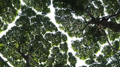 Demanen mantenir el reg de supervivència tot i l'emergència per sequera | Escoltar