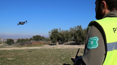 Drons i IA per a detectar zones amb superpoblació de conills | Pepa Sangenís