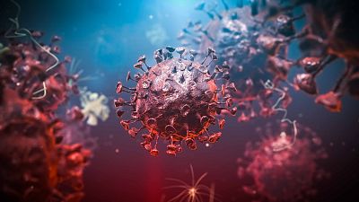 El gallo que no cesa - ¿Qué diferencia al SARS-CoV-2 del resto de virus? - Escuchar ahora