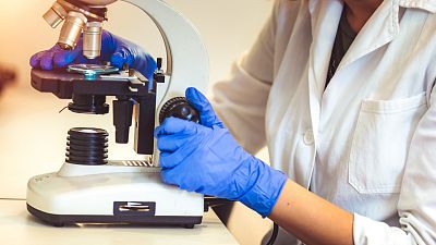 España a las 8 Fin de Semana - Una investigación de la Comunidad Valenciana que podría ayudar a alcanzar una vacuna - Escuchar ahora