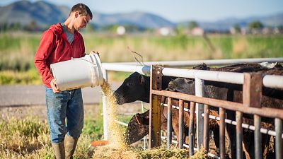 24 horas - El sector cárnico español, afectado por la guerra en Ucrania - Escuchar ahora
