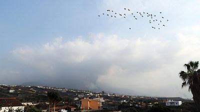 Las mañanas de RNE con Íñigo Alfonso - Aparecen "signos positivos" que anticiparían el final de la erupción en La Palma- Escuchar ahora