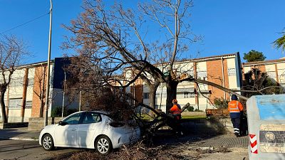 El vent anirà a la baixa en les pròximes hores però es manté l'alerta