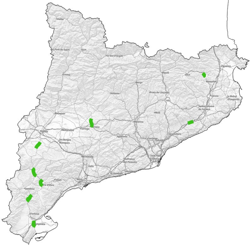 Mapa de Cataluña con sus fronteras, costa, ciudades principales y zonas verdes que indican posibles carreteras programadas.