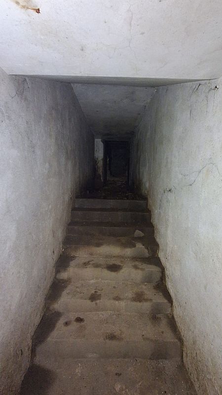 Un pasillo subterráneo con escaleras de hormigón desciende hacia la oscuridad. Las paredes grises exhiben manchas y grietas, con una iluminación escasa que acentúa la sensación de abandono.