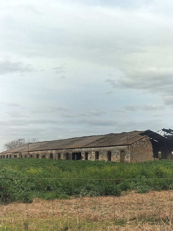 Colonia Penitenciaria de Montijo, creada en 1939