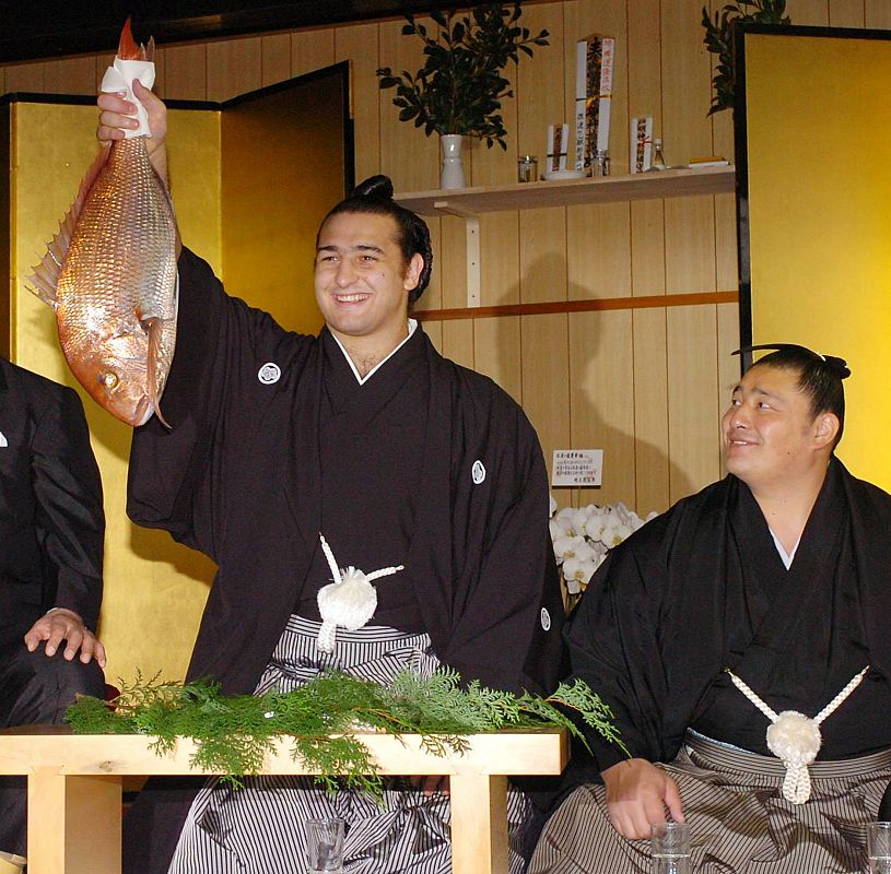 sumo