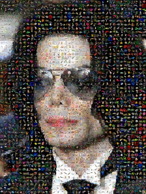Gilberto Viciedo nos envía un mosaico de Michael Jackson