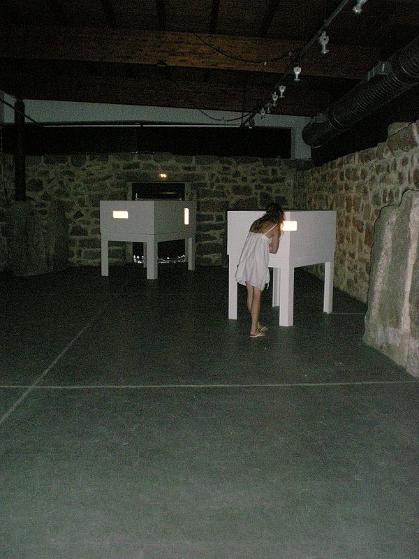 Artenavas 2009