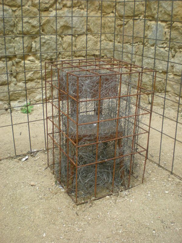 Artenavas 2009
