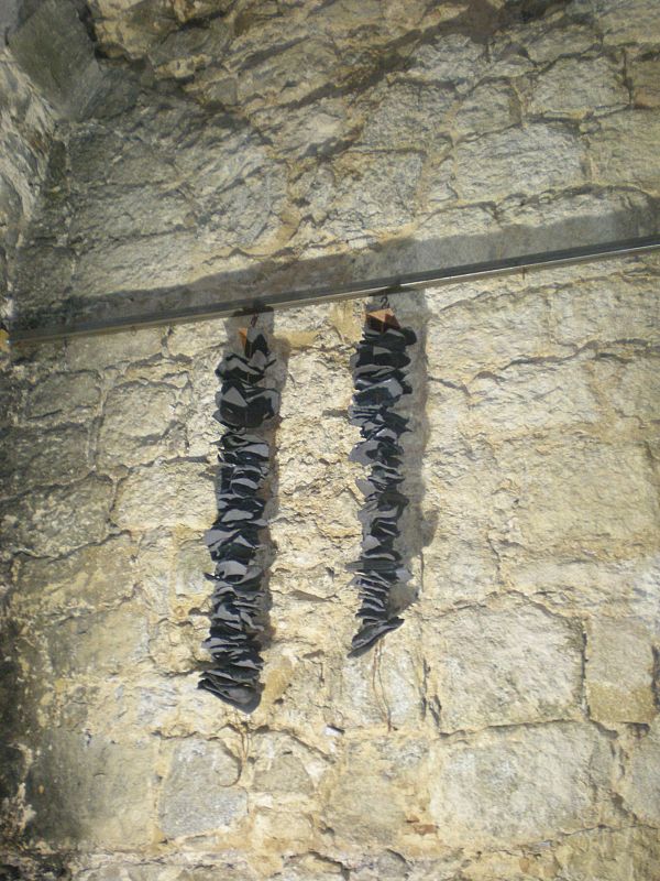 Artenavas 2009