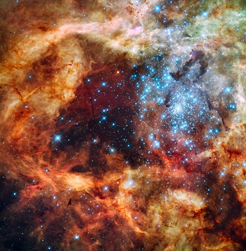 La imagen del cluster R136 muesta un paisaje de fantasía, repleto de luz y valles de oscuridad, junto a una región en sombra en el centro que se asemeja a la silueta de un árbol navideño.