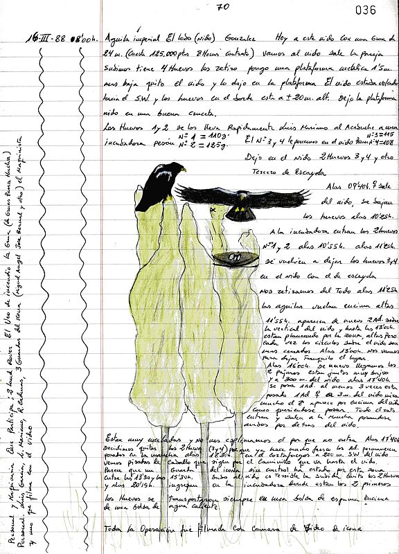 Los cuadernos de campo de Doñana, abiertos al público