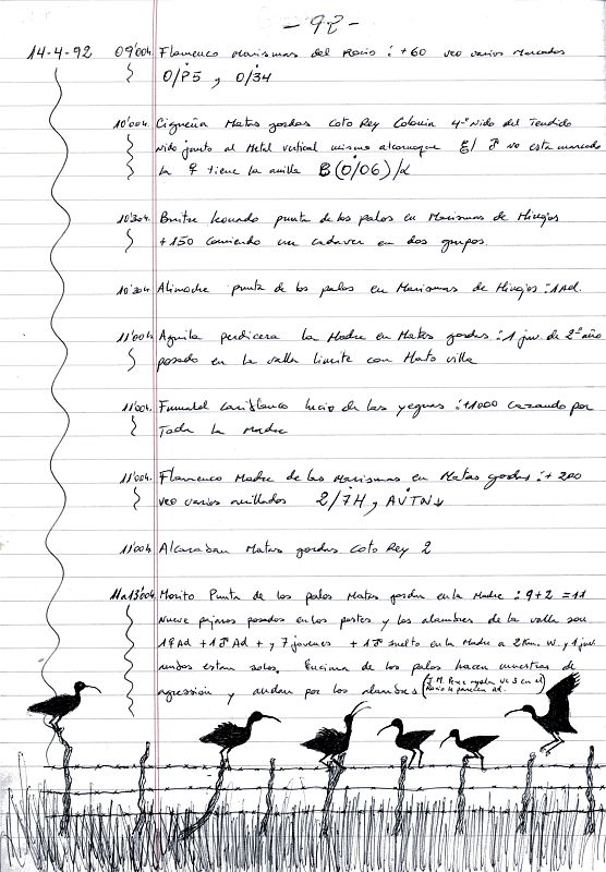 Los cuadernos de campo de Doñana, abiertos al público
