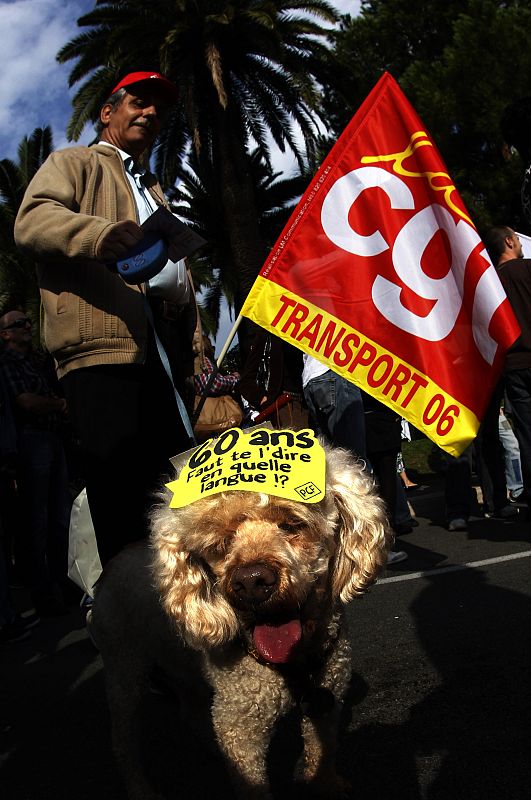 A CGT activist demonstrates with his dog over pension reforms in Nice