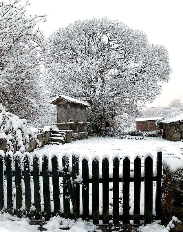 La nieve se acumula  en el prado que rodea aun hórreo, en la localidad de Palas de Rei.