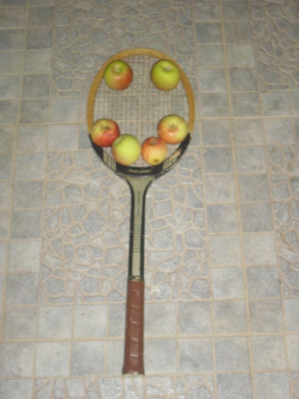 La felicidad de la raqueta formada por la fruta del árbol de mi patio que florece en estas fechas veraniegas.