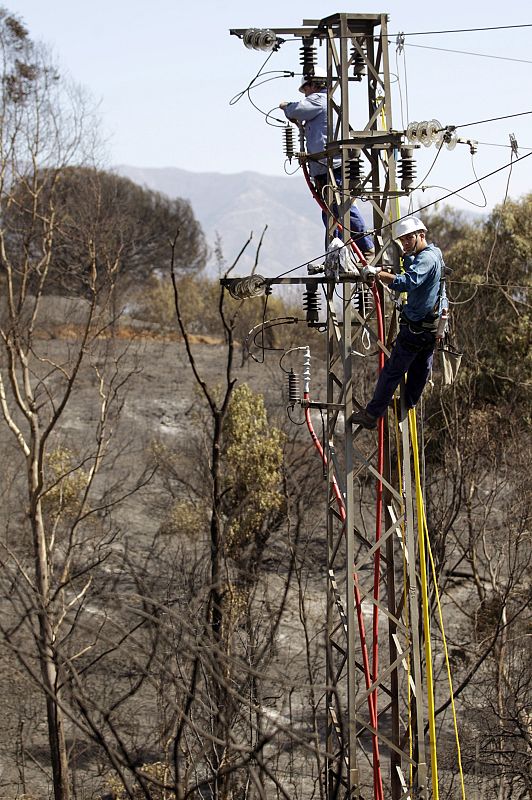 Unos operarios trabajan en una torre de electricidad
