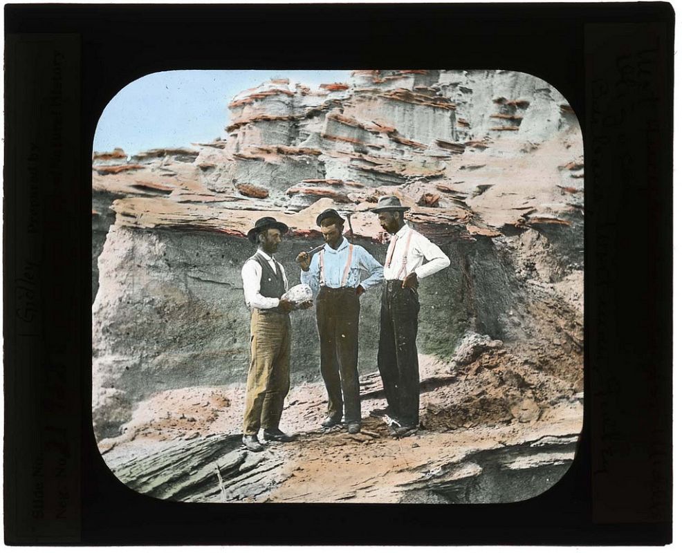Barbour, Wortman y Gidley
