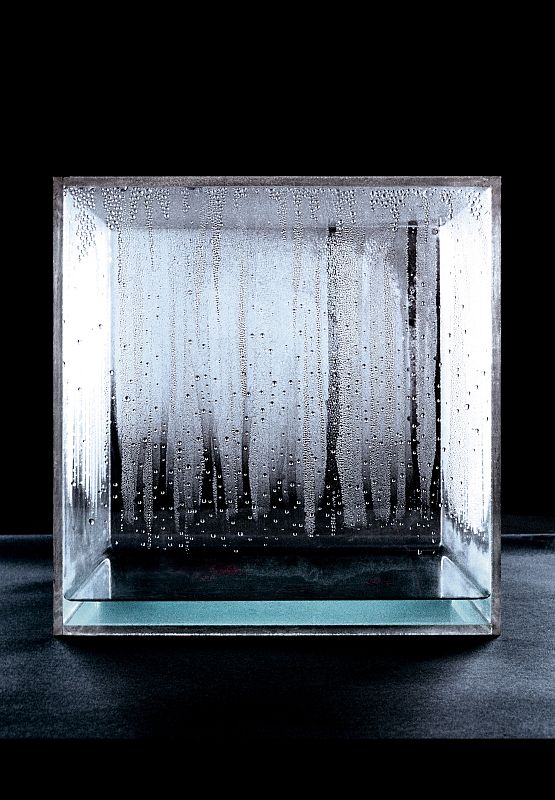 Hans Haacke. Cubo de condensación, 1963-1965. Metacrilato, agua, luz, corrientes de aire, temperatura del espacio expositivo. Colección MACBA. Fundació Museu d¿Art Contemporani de Barcelona. Donación del National Committee and Board of Trustees Whit