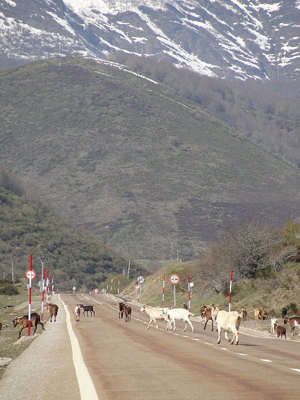 A las puertas de Picos de Europa, en León