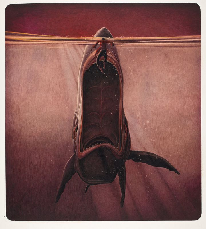 Jonás y la ballena