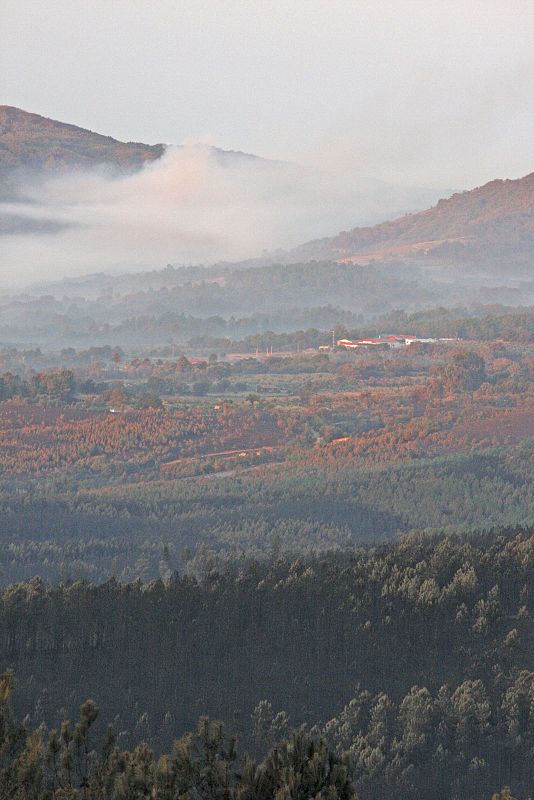 Pinares calcinados y alguna zona aún en llamas a causa del incendio