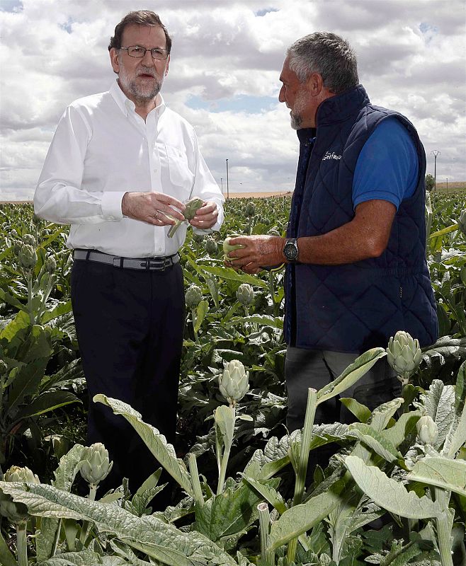 El candidato del PP, en la huerta tudelana