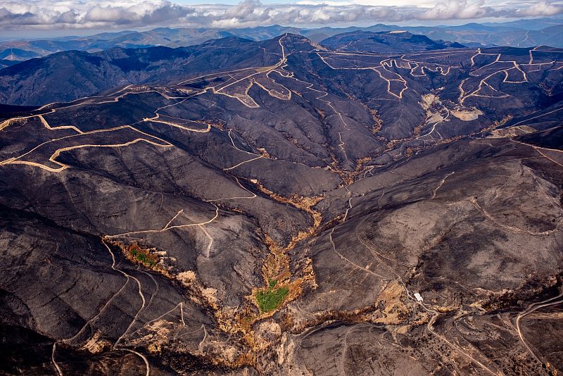 Vista aérea de un incendio forestal: terreno carbonizado en tonos negros y marrones, con escasa vegetación verde y numerosos cortafuegos serpenteantes.