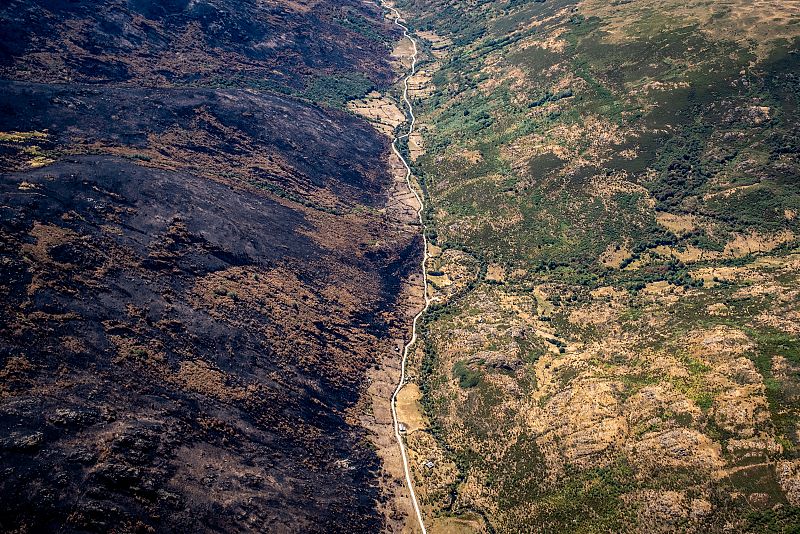 Vista aérea de un valle tras un incendio forestal. Una ladera muestra vegetación quemada, mientras la otra conserva su color verde. Una carretera divide ambas zonas.