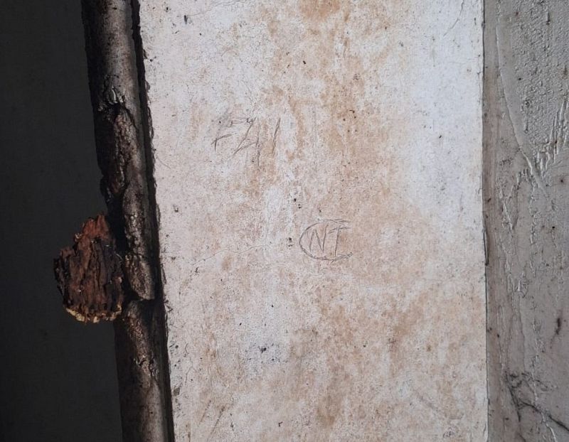 Una pared clara y rugosa exhibe grafitis, incluyendo las letras "FAI" y "NT" dentro de un círculo. Una rama de madera con corteza desprendida se encuentra a la izquierda.