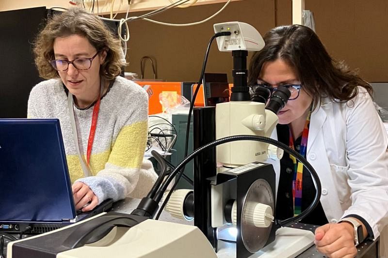 Dos científicas, Esther Rebollar y María José Sánchez Barrena, trabajan en un laboratorio. Una está frente a un ordenador portátil y la otra observa a través de un microscopio, posiblemente analizando una muestra iluminada.