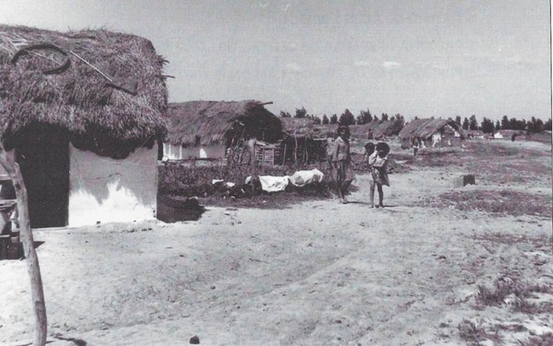 Chozos del Egido de los Charcos, de la Colonia Penitenciaria de Montijo