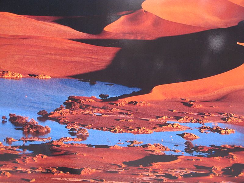 Desierto de Namibia
